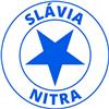 ŠK Slávia SPU DFA Nitra